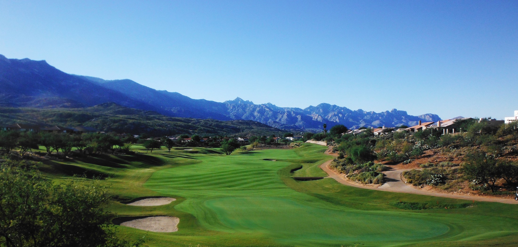 Homes for Sale in Saddlebrooke AZ Is 2016 a Good Time to Buy? Movoto