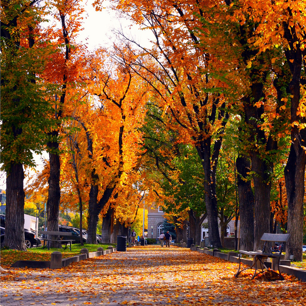 5 Small Towns in Arizona to Put Down Roots In Movoto