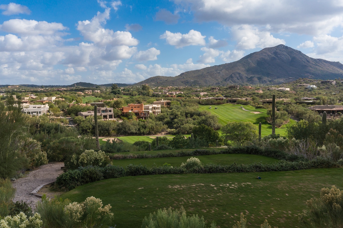 Phoenix Neighborhood Guide Movoto