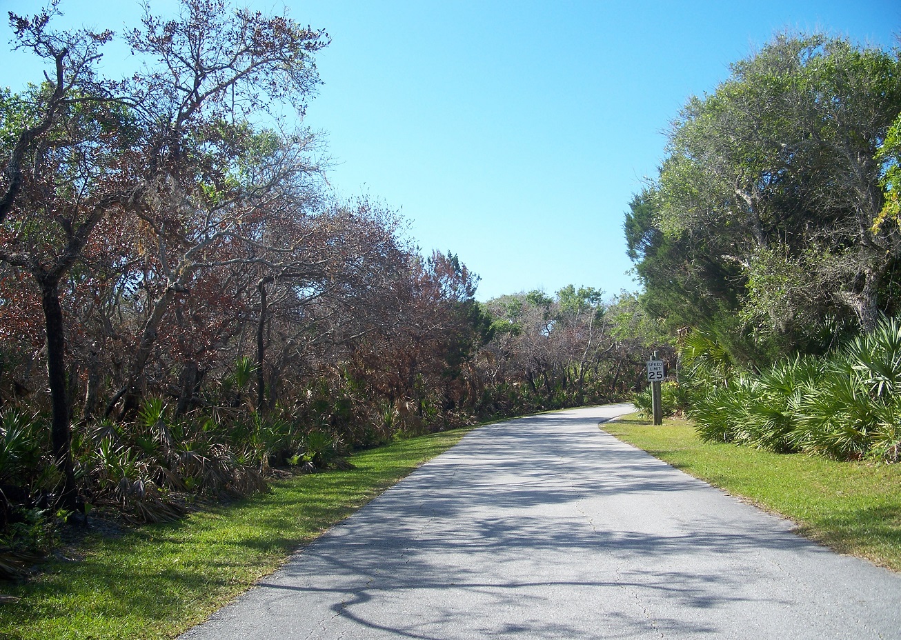 New Homes For Sale Apollo Beach Fl New Homes For Sale Apollo Beach Fl